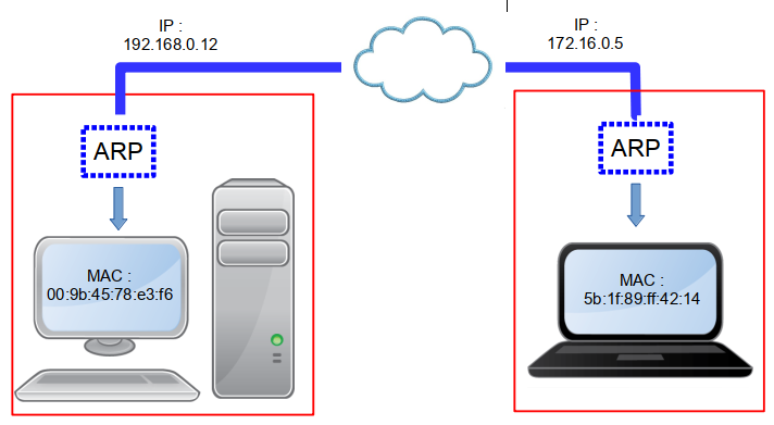 IP ARP MAC