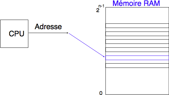 Interactions CPU - RAM