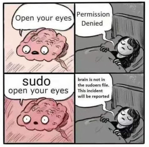 Sudo brain