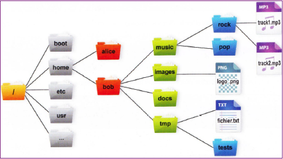 Exemple d'arborescence Linux